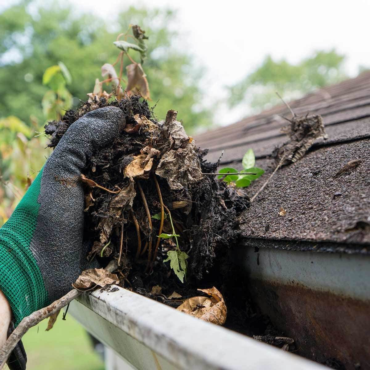 Image of Gutter Cleaning