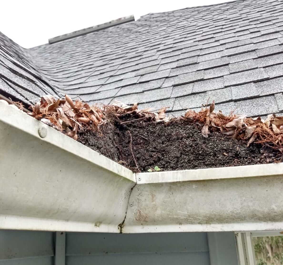 Dirty gutters Fort Collins CO leaf guard cost