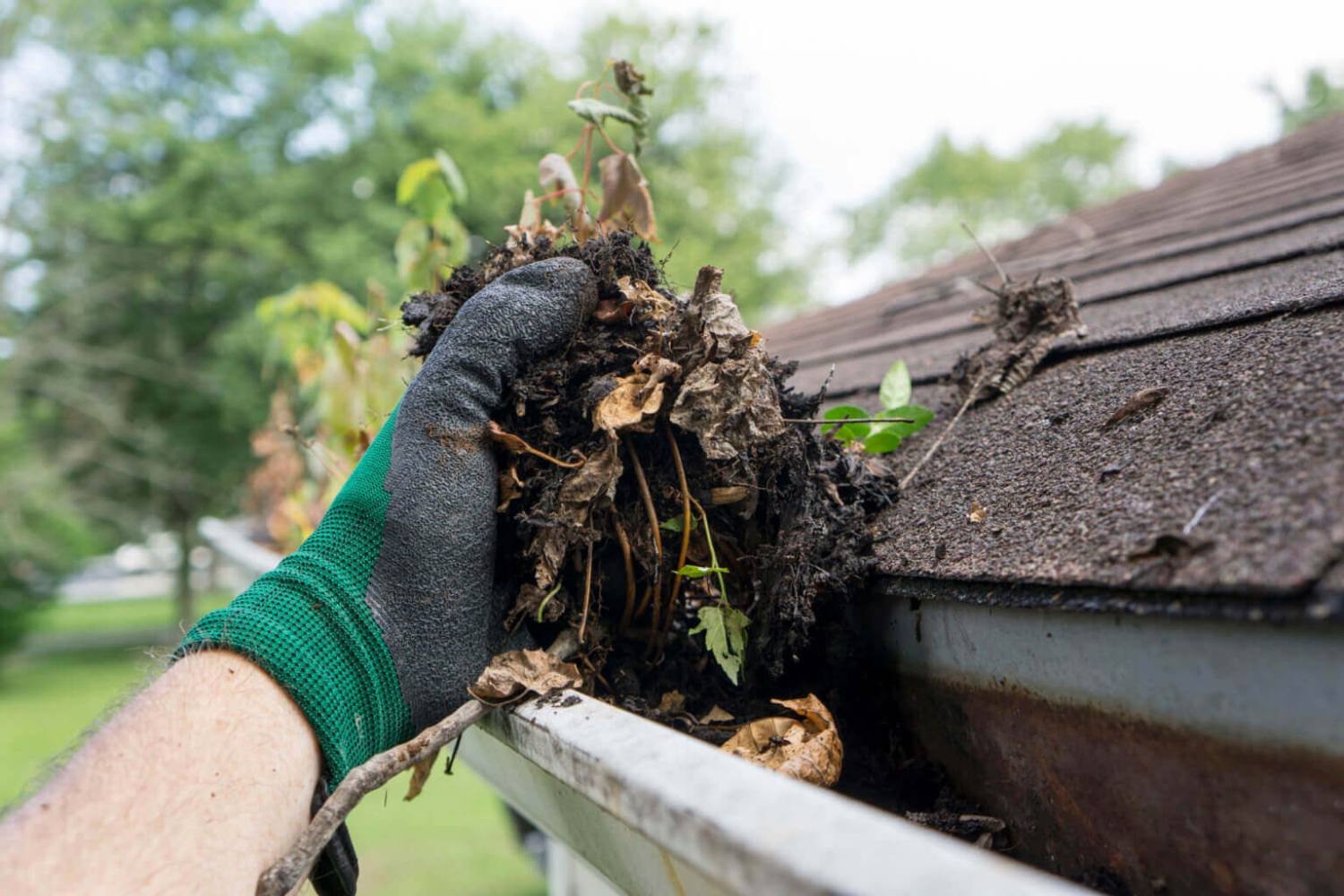 clogged gutters in Friendswood, TX