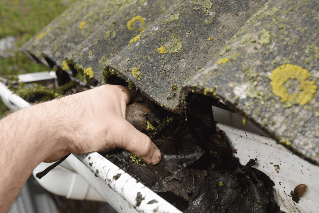 Premium Gutter Cleaning Services