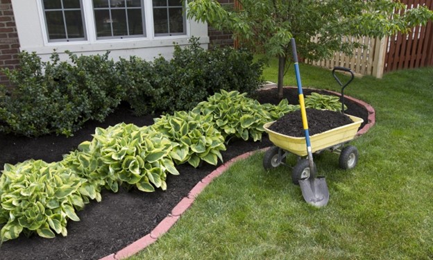 How to Stop Erosion in Your Yard ( 13 Pro Hacks)